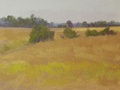 A plein air oil painting done at Trough Hill Farm in Middleburg, VA.